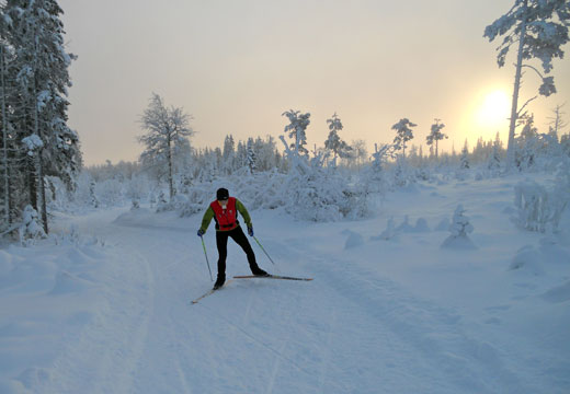 Skiing in Harsa