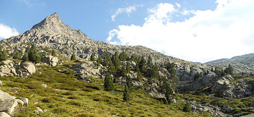 Pyrenees