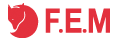 FEM