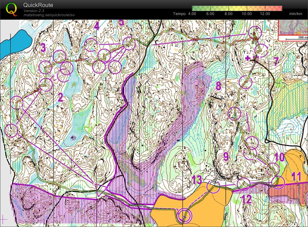 Jukola (19/06/2010)