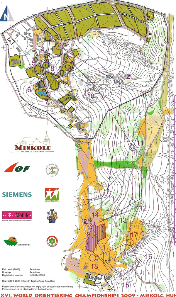 WOC sprint final (2009-08-20)