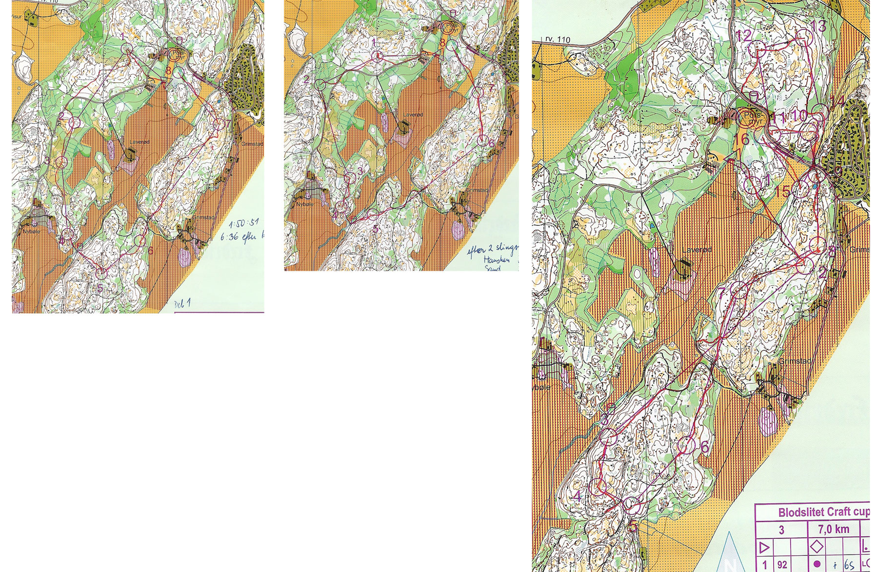 Blodslitet (2009-10-17)