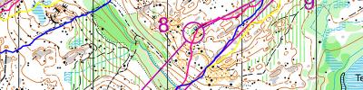 Jukola 3rd leg D