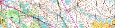 Course from O-Ringen 2008, E5, D21SE Lindvallen (2011-07-10)