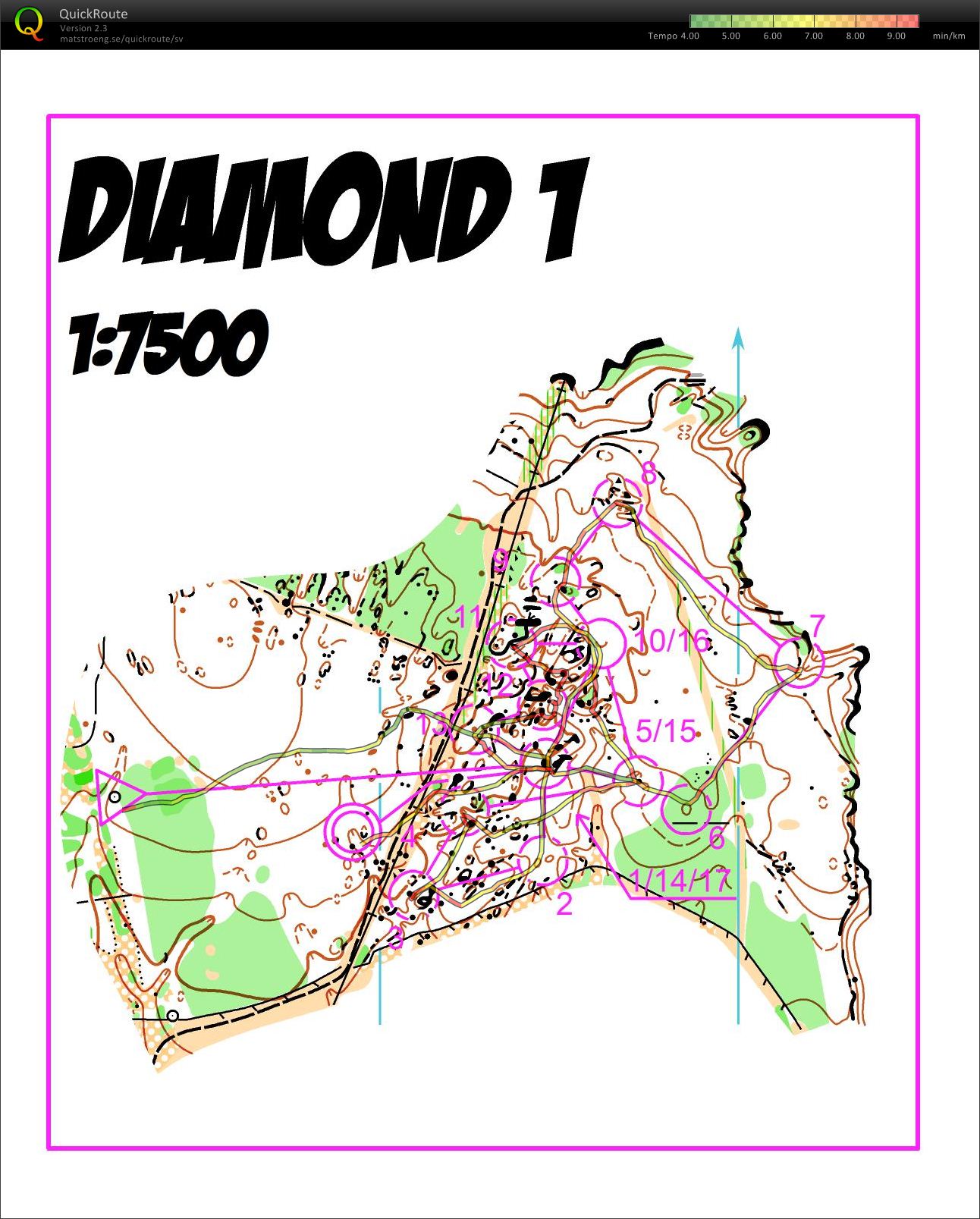 Butterfly with mass-start Mende loop 1 (17/11/2011)