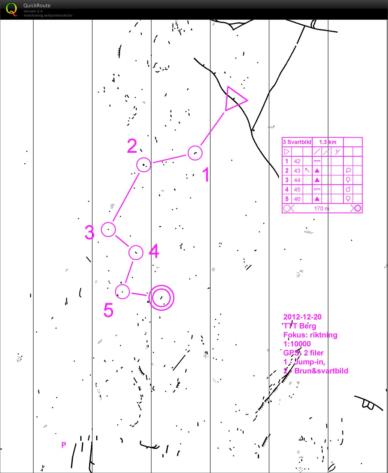 TTT Berg Svartbild (2013-01-04)