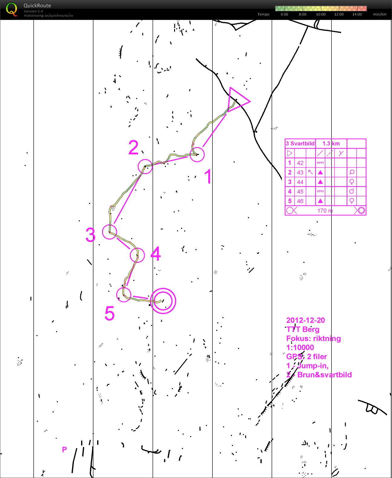 TTT Berg Svartbild (2013-01-04)