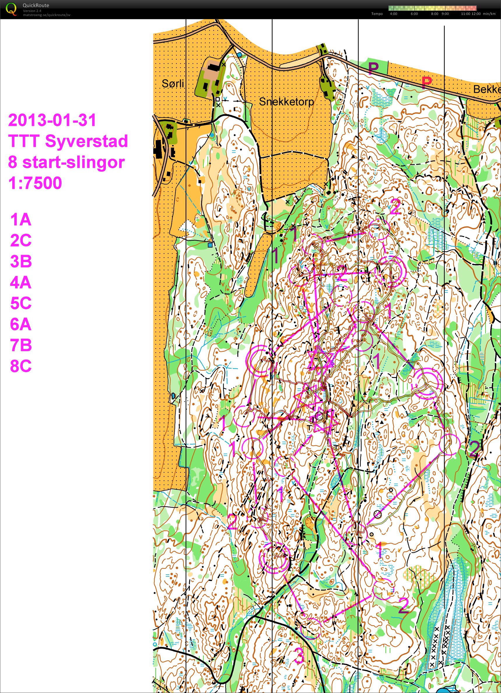 Syverstad Hjerteåsen TTT startslingor (31/01/2013)