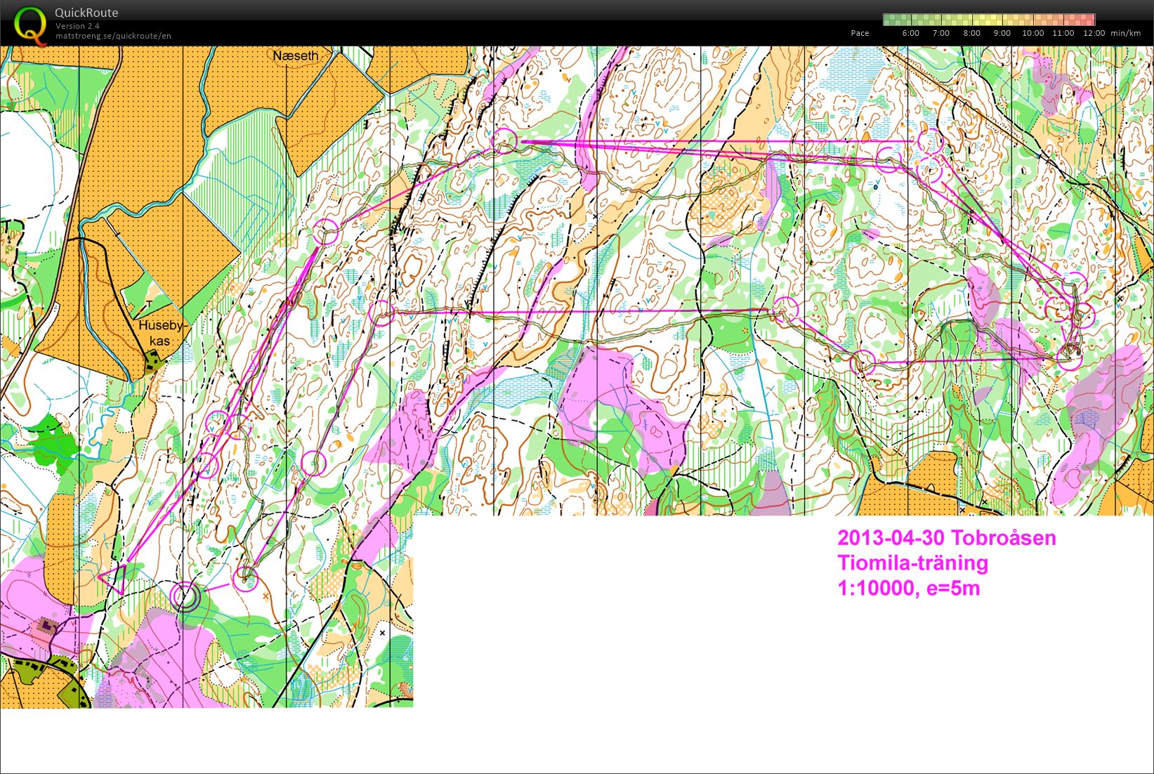 Tobroåsen gammal bana (2013-08-02)