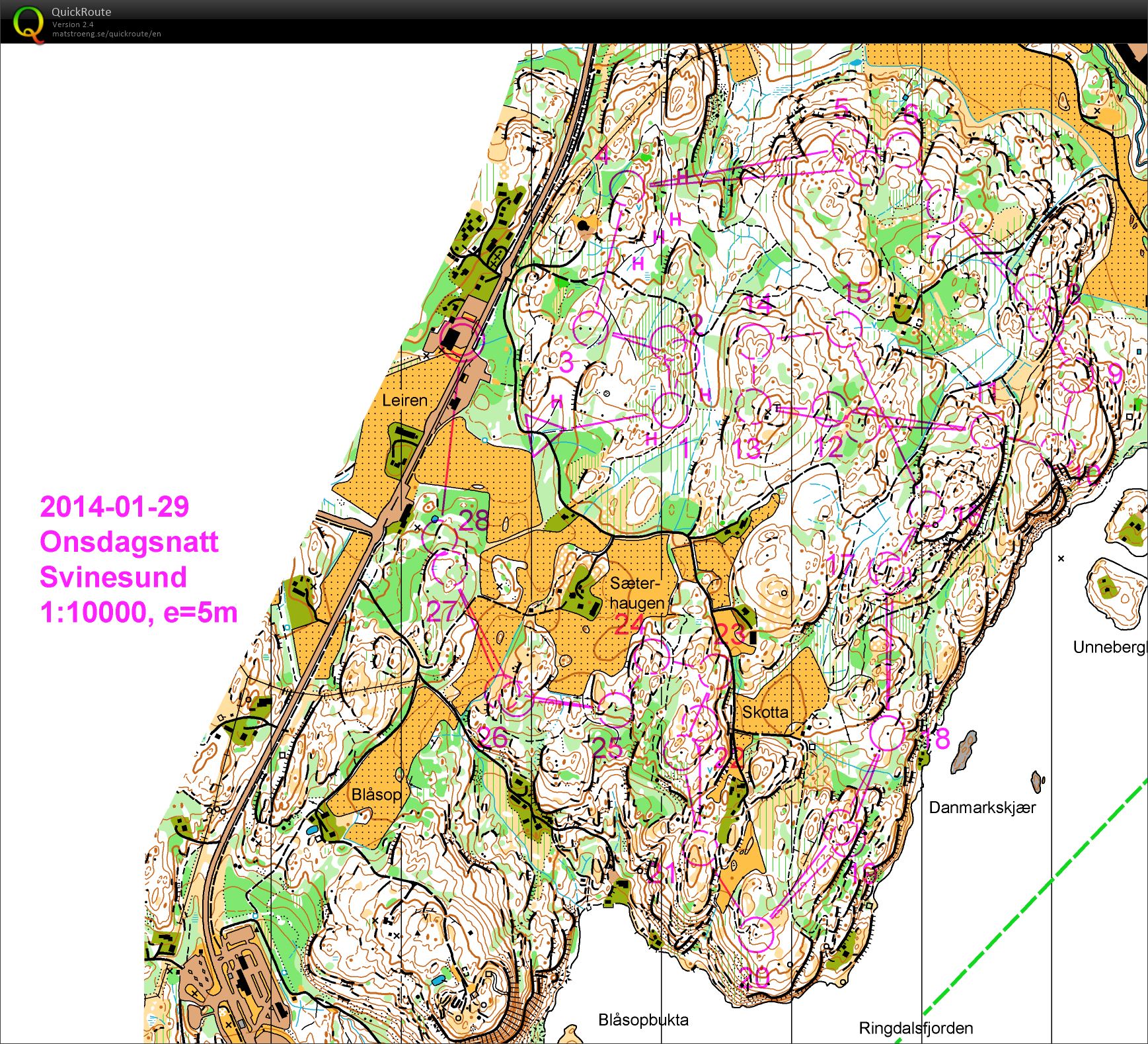 Onsdagsnatt Svinesund (29/01/2014)