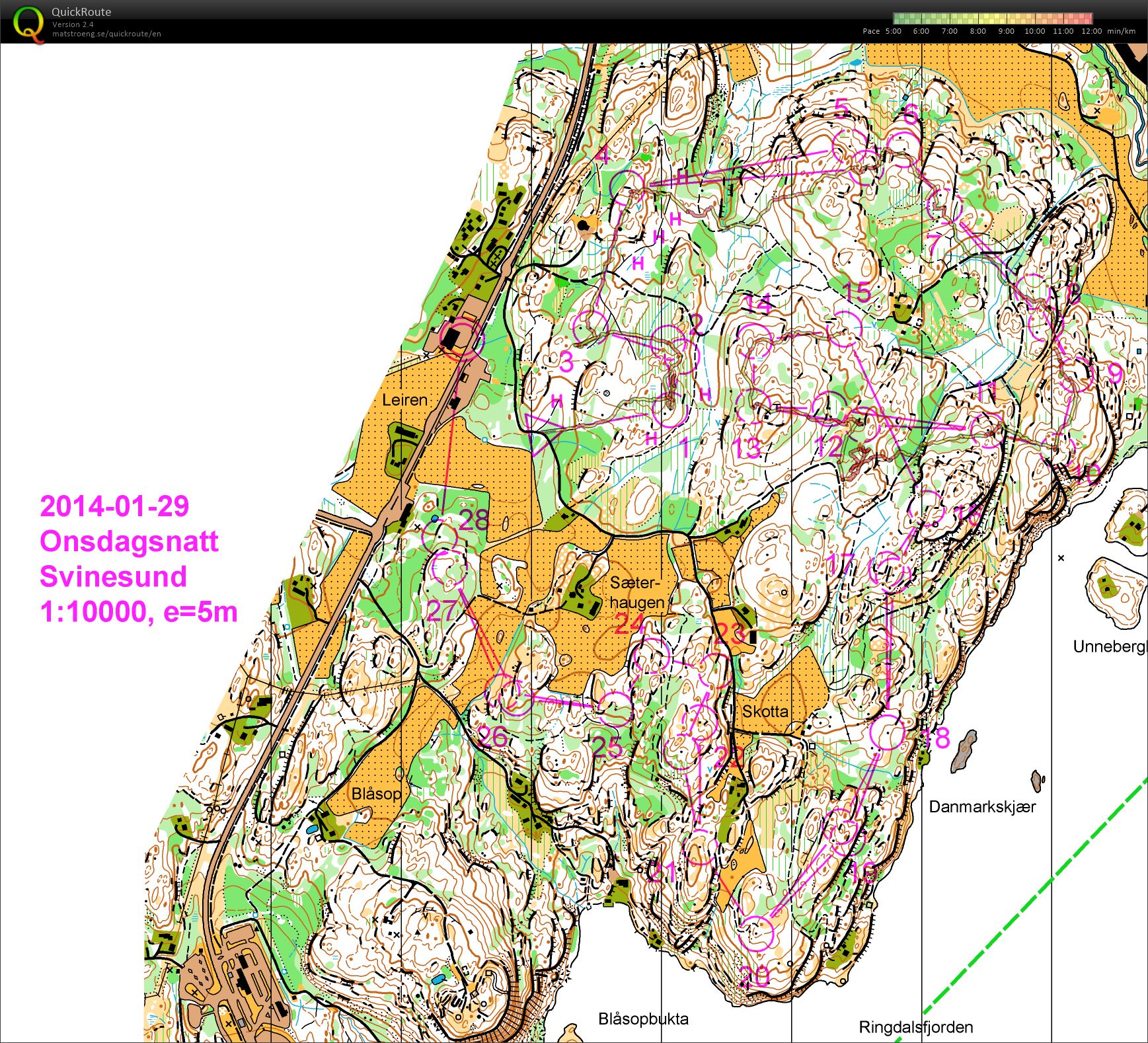 Onsdagsnatt Svinesund (29/01/2014)
