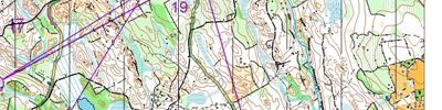 Brunefall Tiomila training