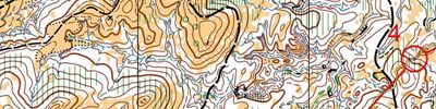 World Cup course W - middle 