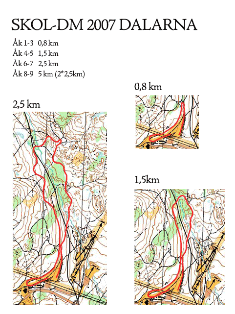 Skol-DM distans tävling