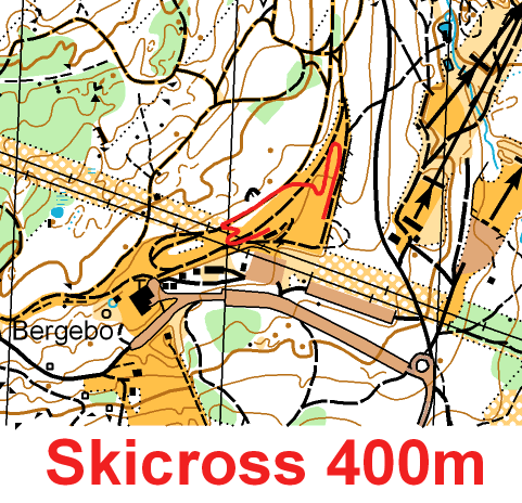 Skol-DM skicross